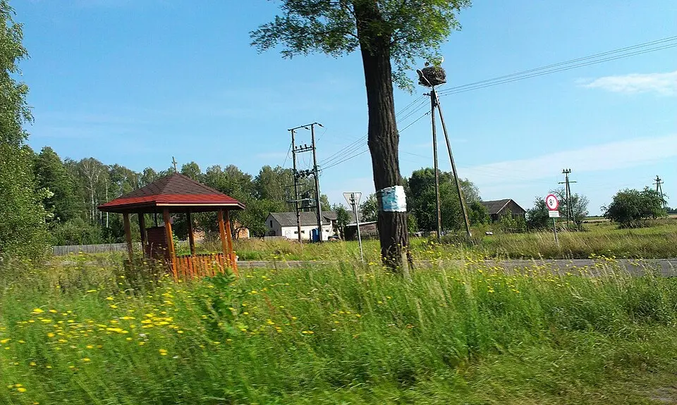 Bild: Kedzio89r · CC BY-SA 4.0 Nowy Szelków