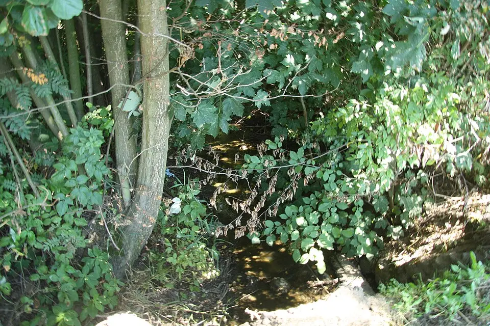 Bohdalovský potok