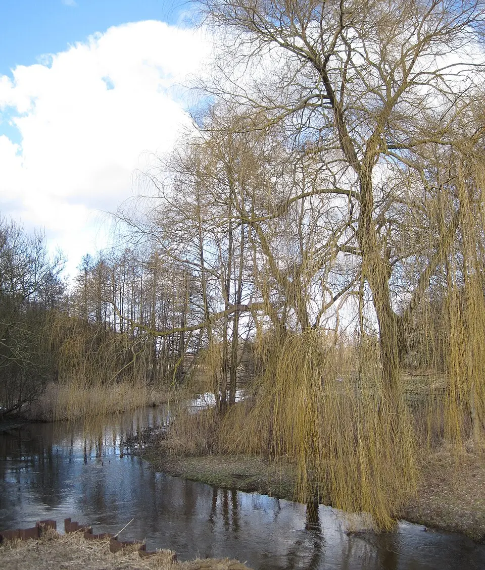 Bild: Kresspahl · CC BY-SA 3.0 Boize
