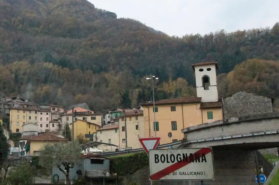 Bolognana