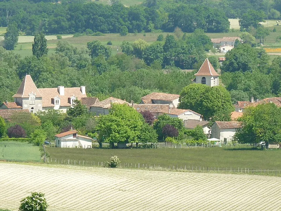 Bonnes