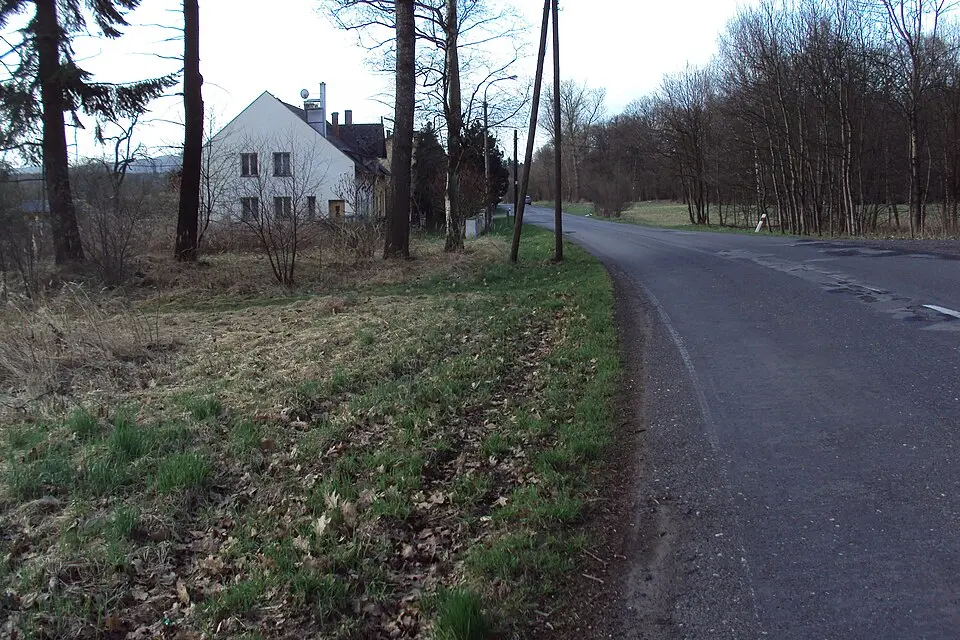 Boreček
