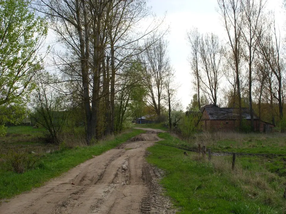 Бародзічы