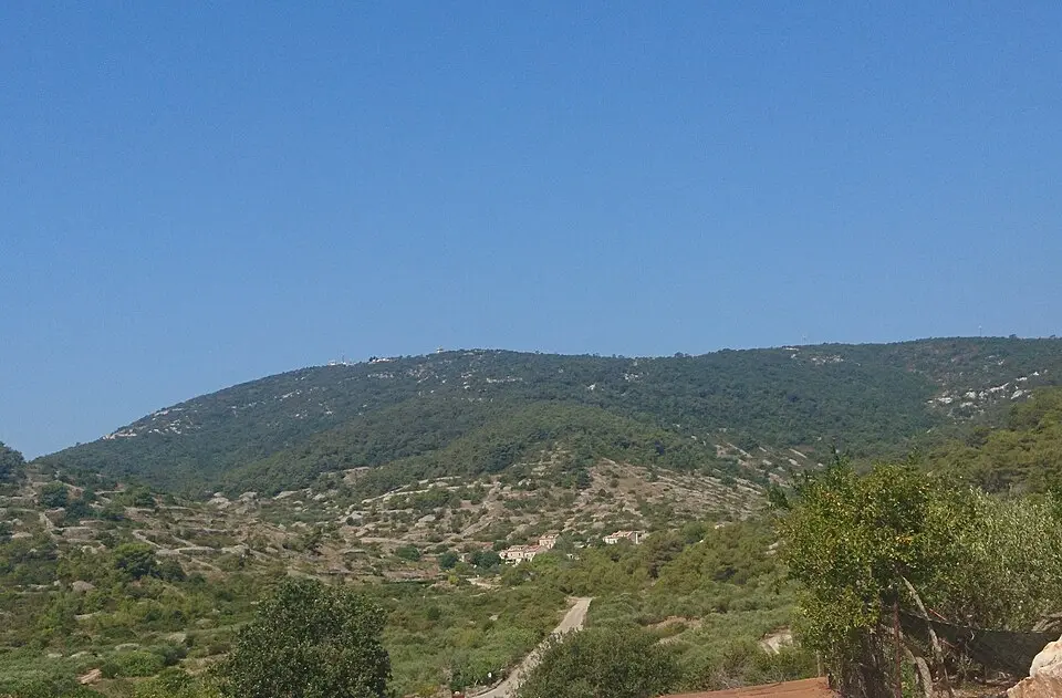 Borovik