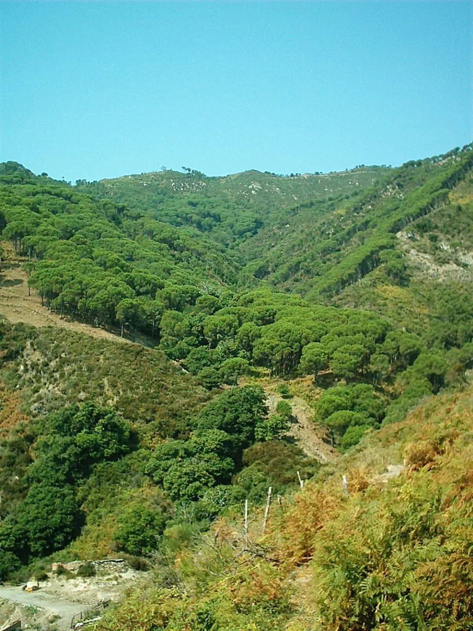 Sicilské Apeniny