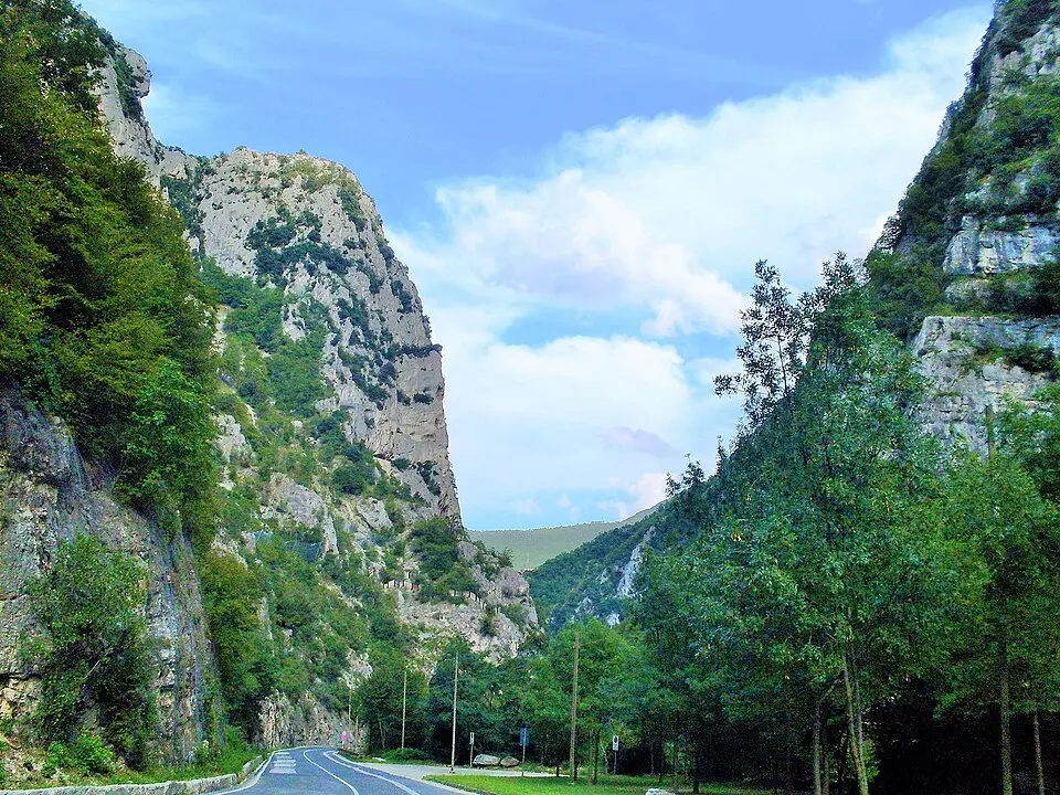 Bosco di Frasassi