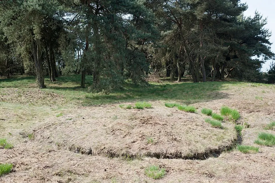 urnenveld Boshoverheide