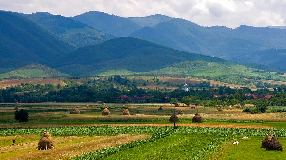 Ferice Plai și Hoancă
