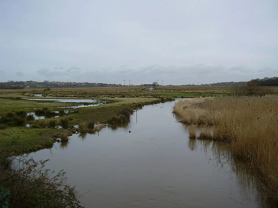 Brading Marshes RSPB reserve