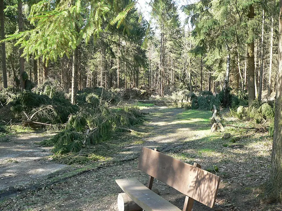 Bramwald