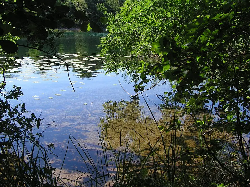 Großer Brückentinsee