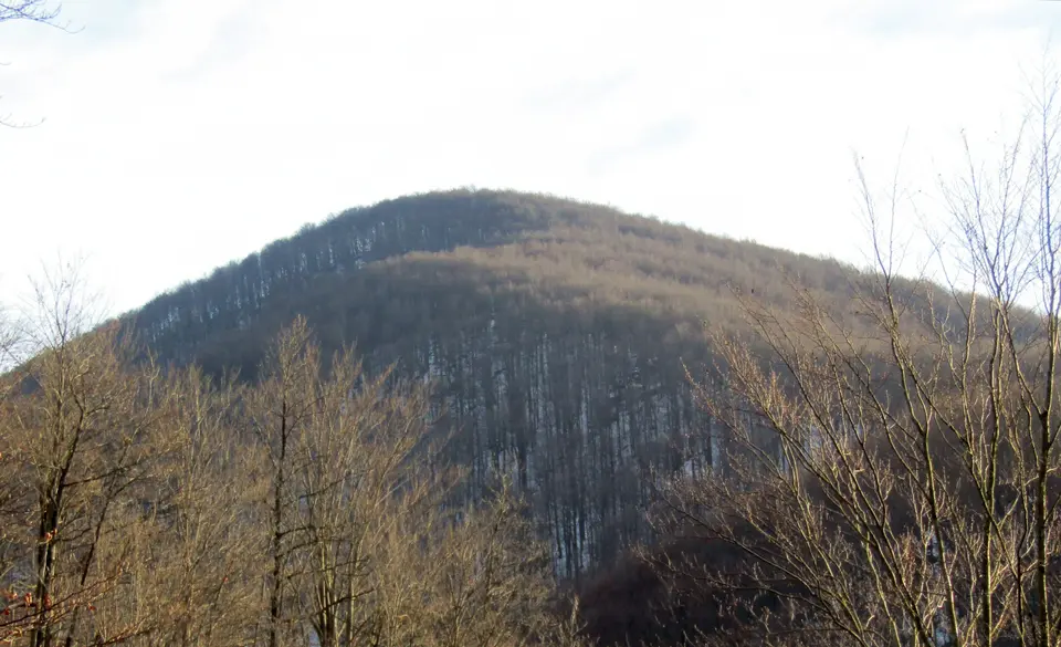 Bric Merizzo