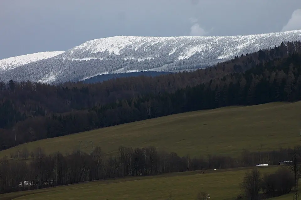 Schieferhaide
