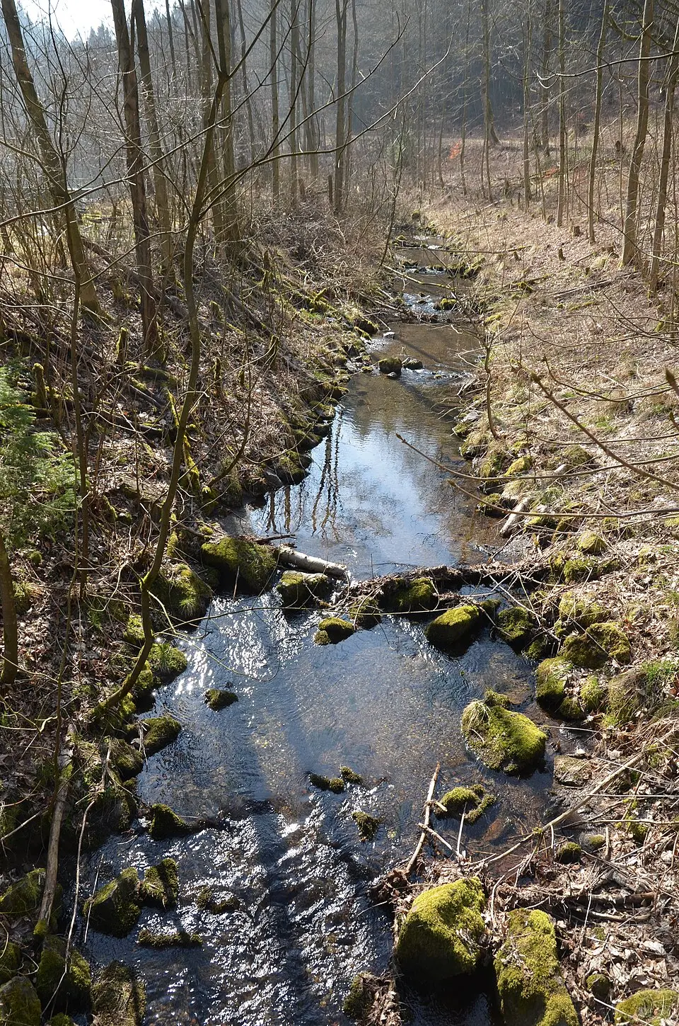 Schmala