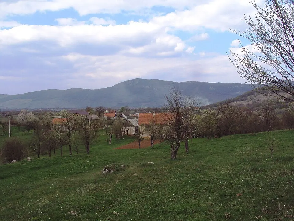 Image: Fraxinus Croat · CC BY-SA 3.0 Brloška Dubrava