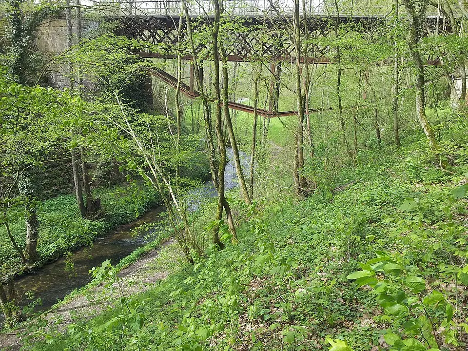 Buchenbach