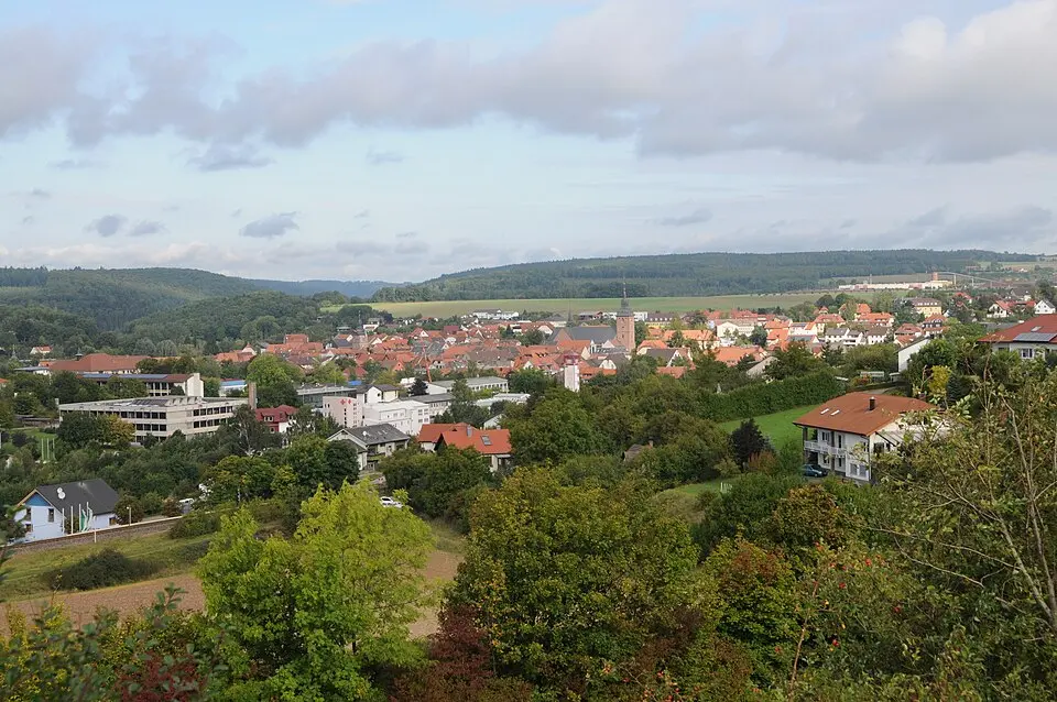 Bild: Hubert Berberich (HubiB) · CC BY-SA 3.0 Buchen