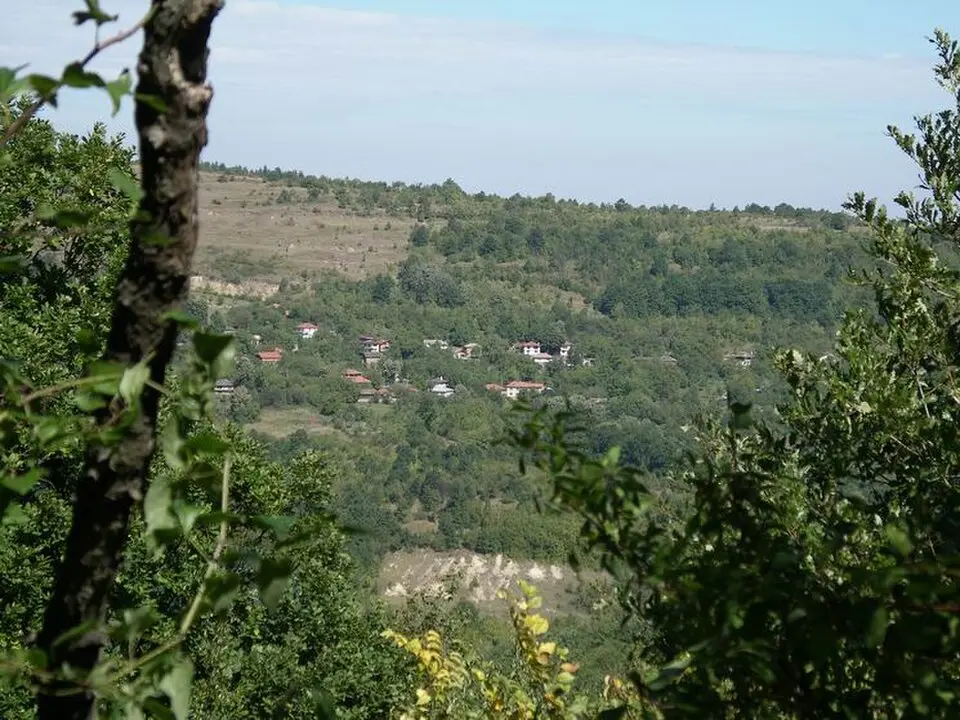 Бучуковци