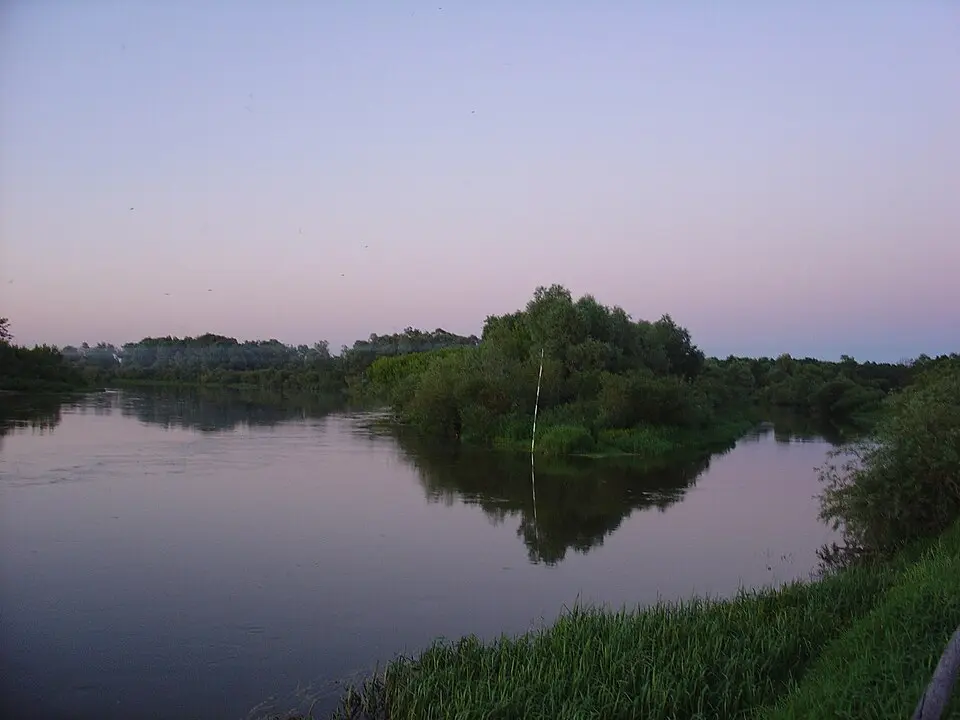 Mogielnica