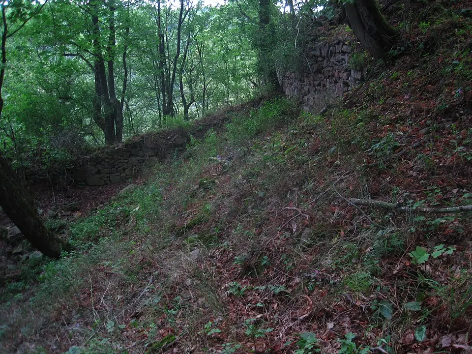 Burg Bukovina