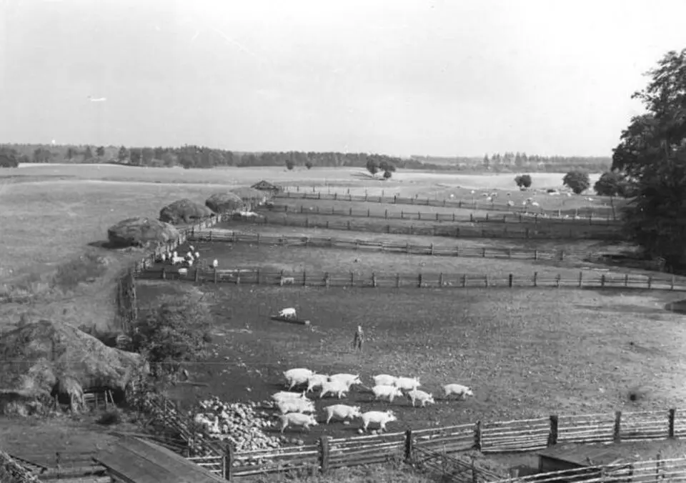 Gross Stieten