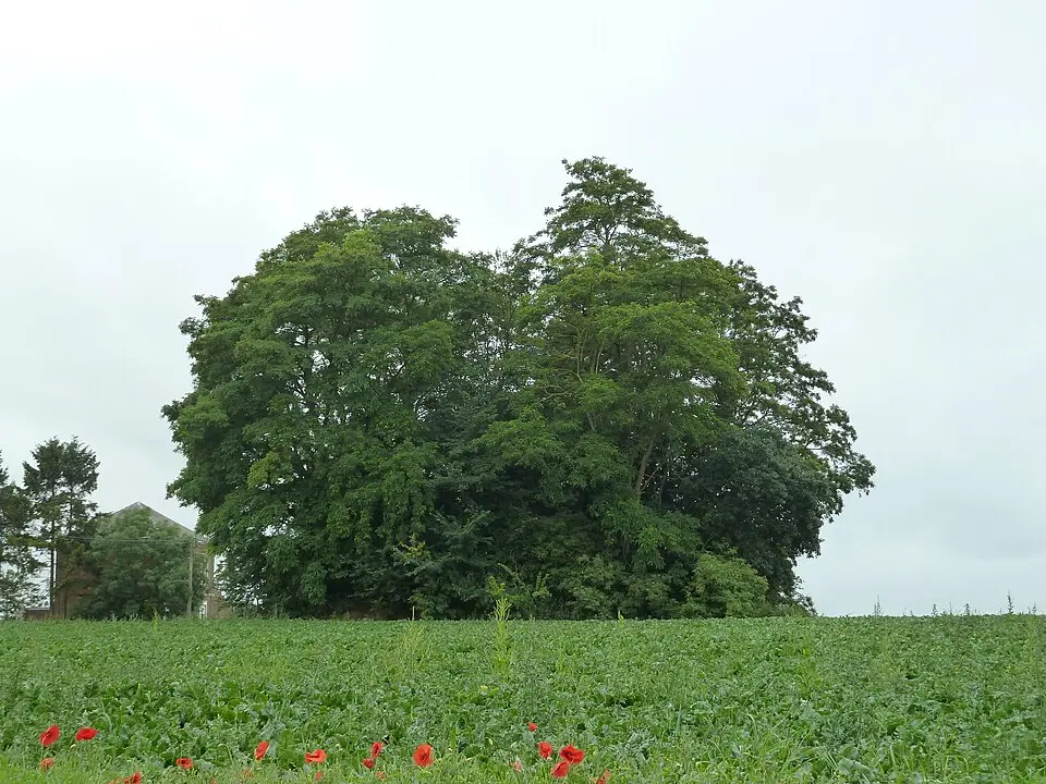 Tumulus von Vissoul