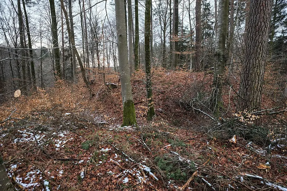 Bild: Dietrich Krieger · CC BY-SA 3.0 Burg Bermatingen