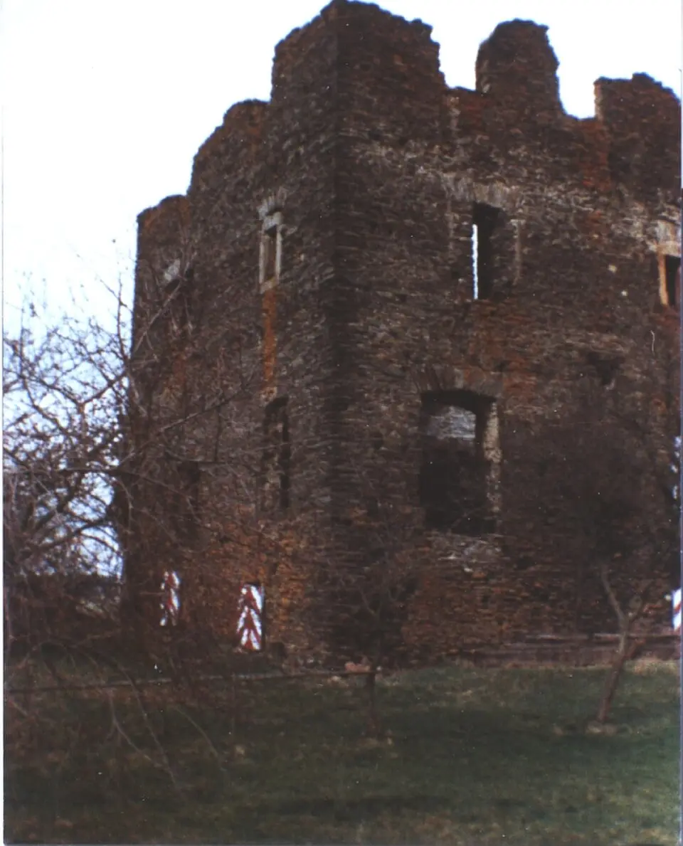 Burg Dill