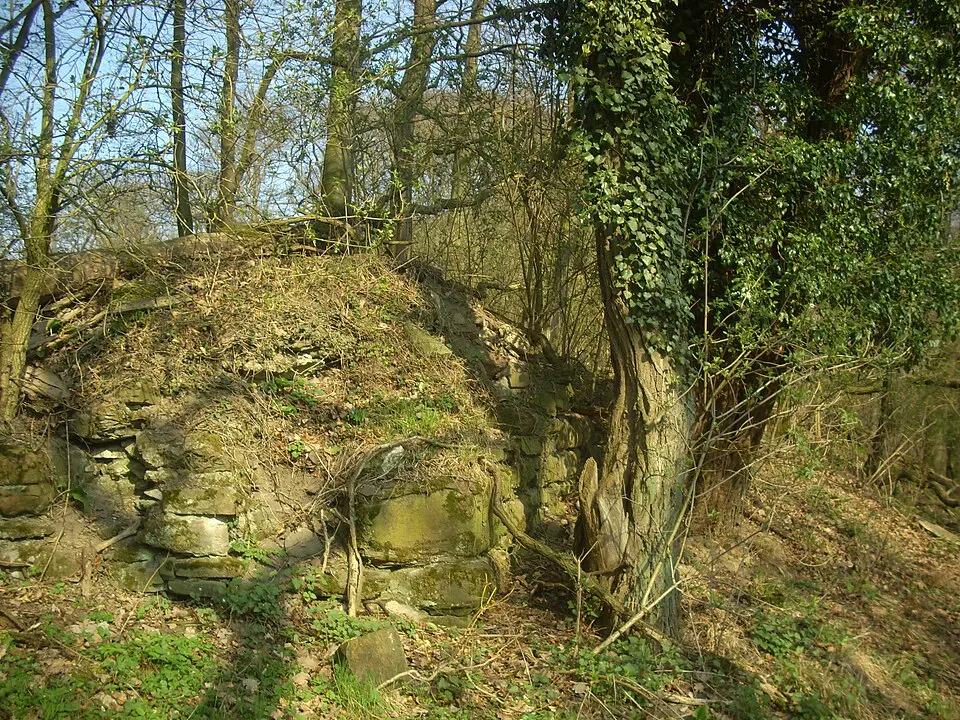 Burg Fürstenberg