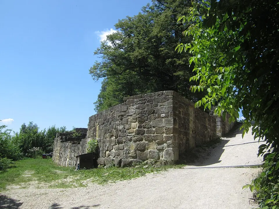 Wikimedia Commons