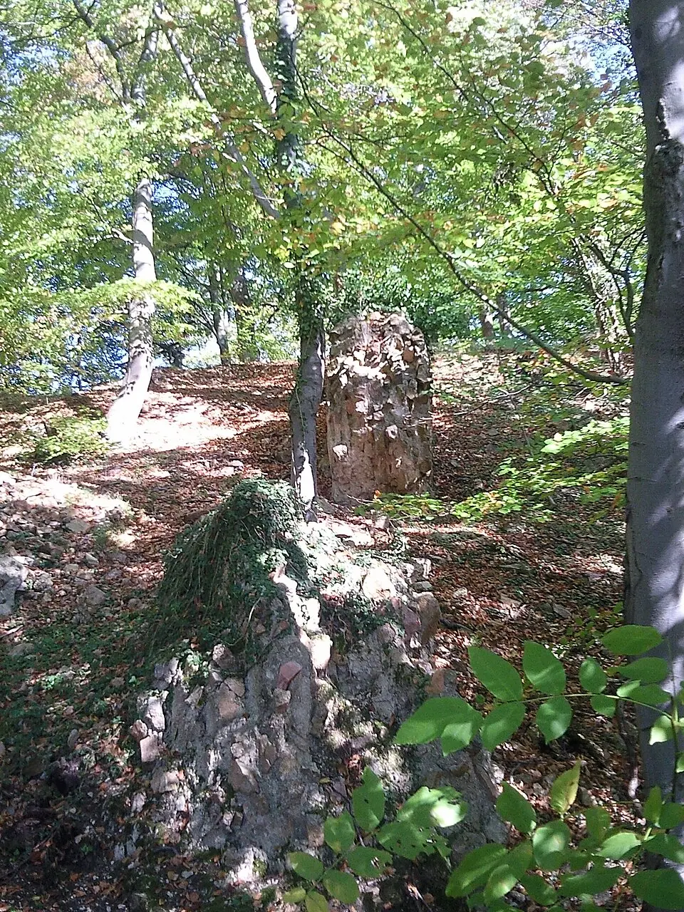 Bild: Sarkana · FAL Burg Jossa