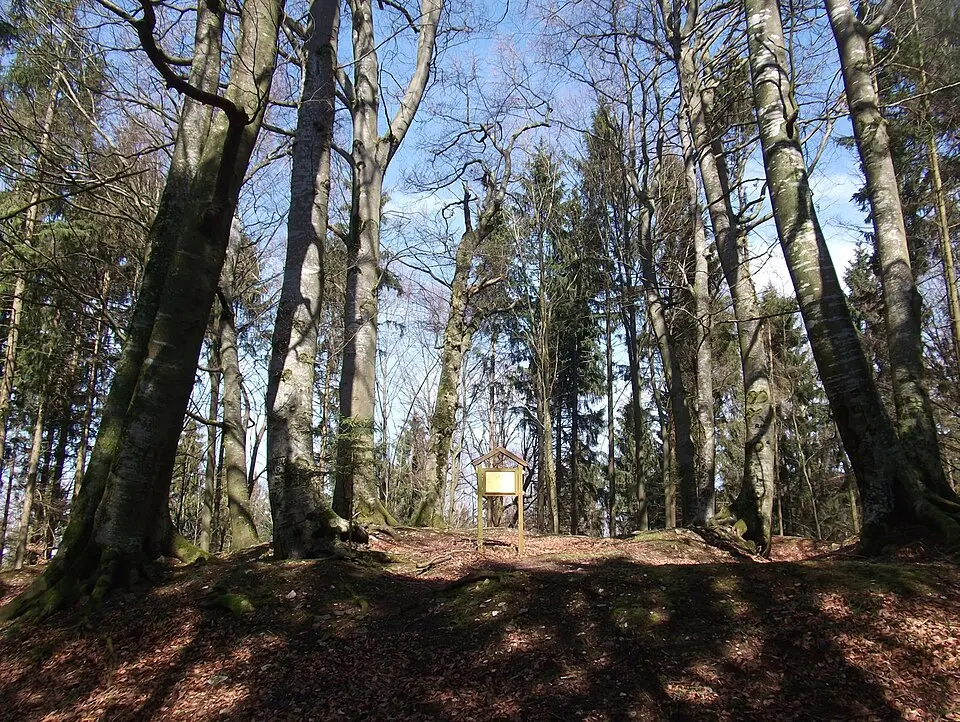 Burg Neuhaus