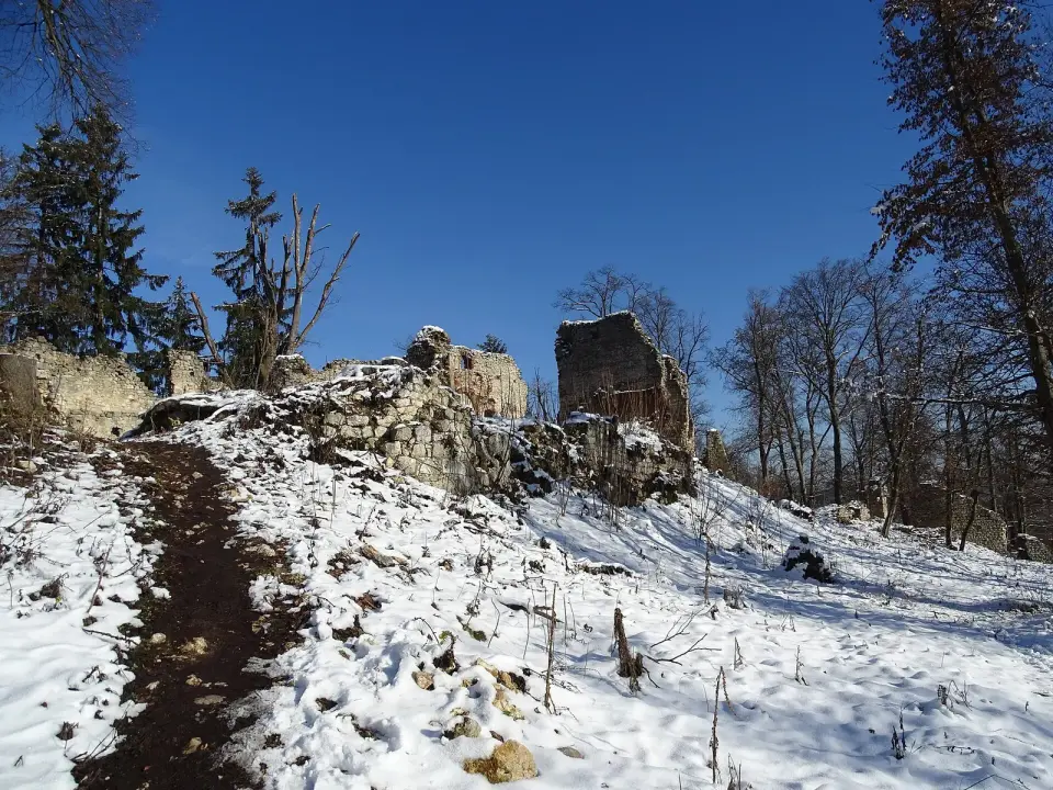 Burg Neu-Wildon