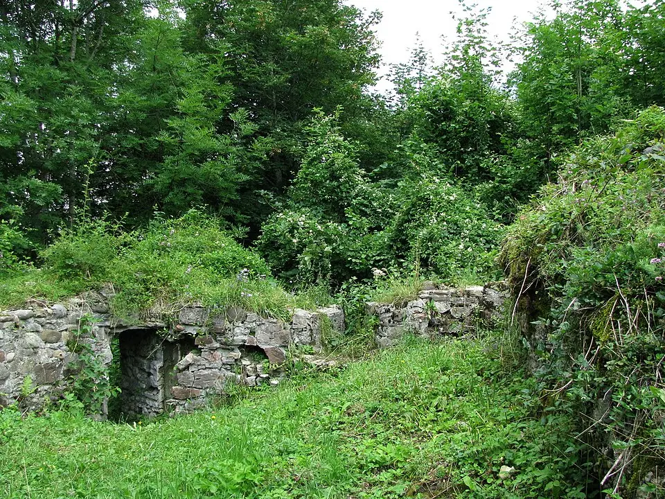 Bild: Gras-Ober · CC BY-SA 3.0 Burg Alt-Laubenberg