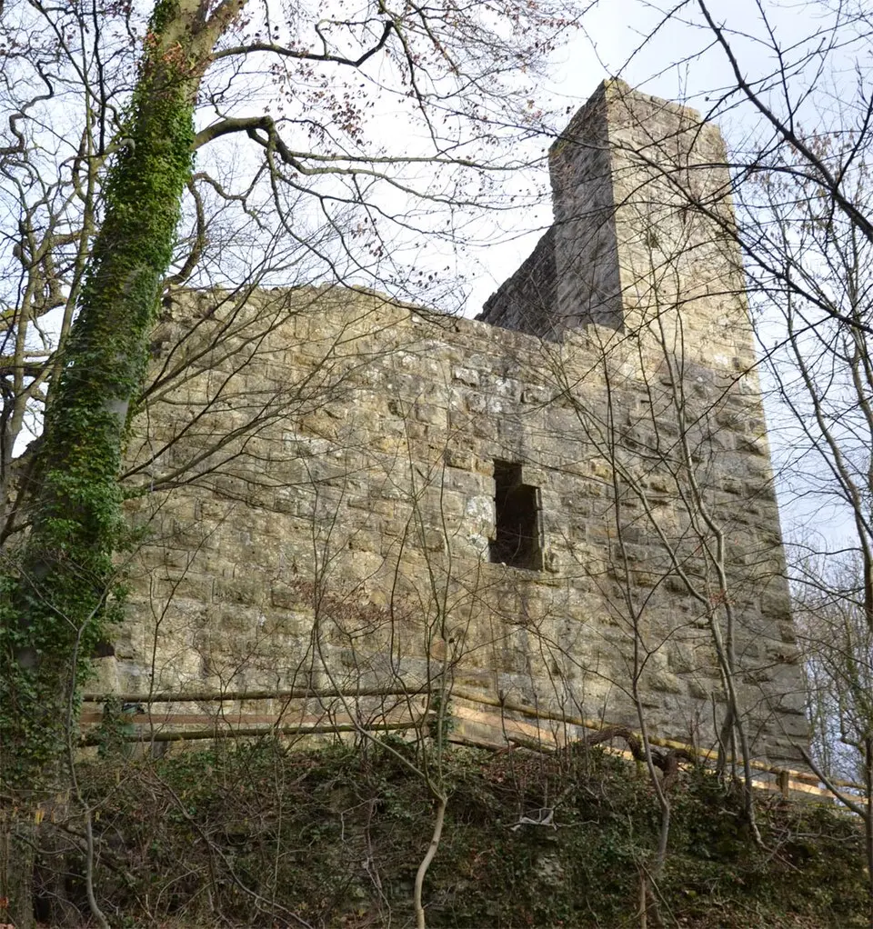 Burg Blankenhorn (Eibensbach)