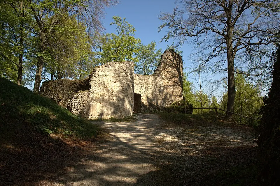 Immagine: Sven-121 · CC0 Burgruine Leienfels