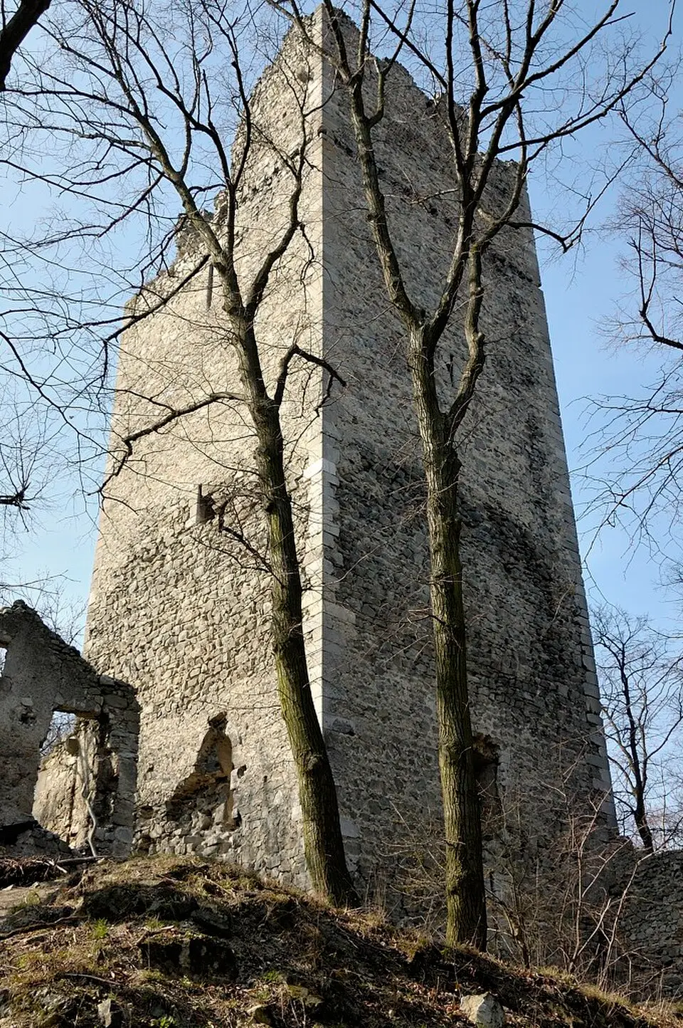 Burg Pottenburg