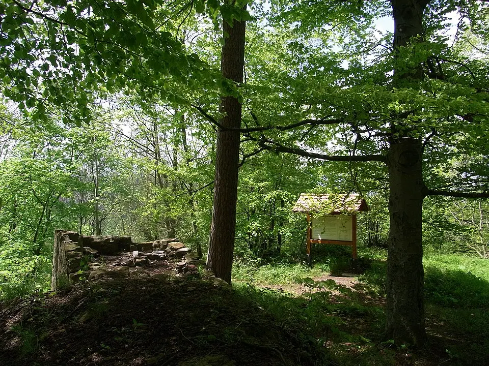 Burg Ror
