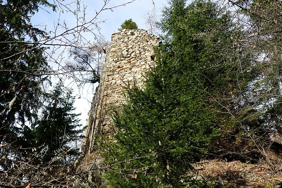 Burgruine Stall-Wildegg