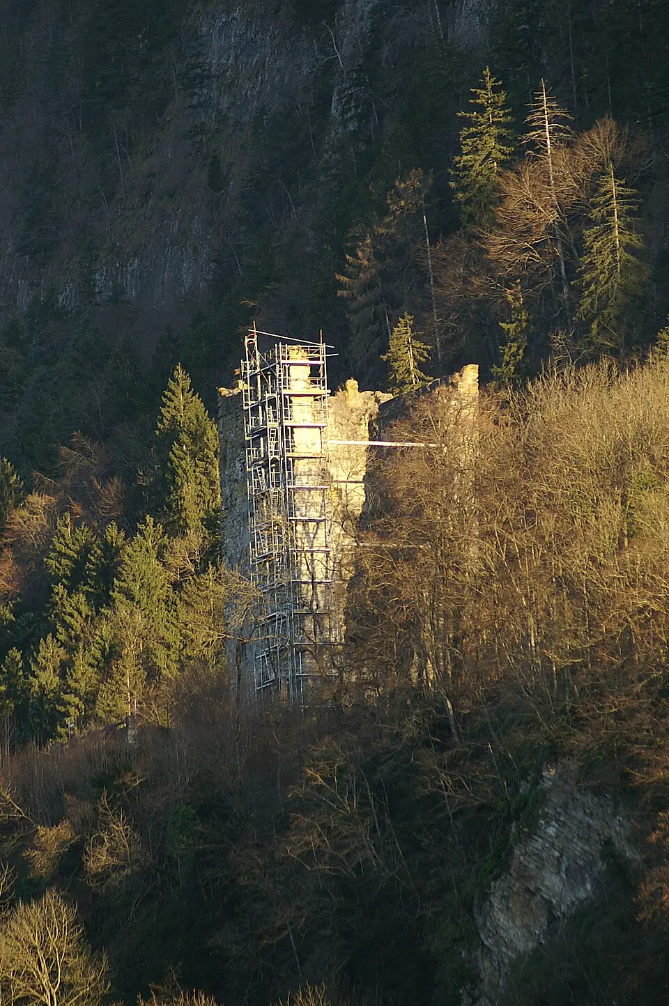 Wikimedia Commons
