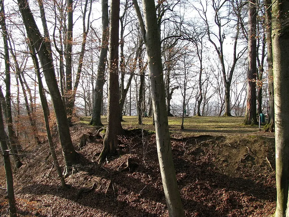Immagine: Gras-Ober · CC BY-SA 3.0 Burgstall Engelsberg