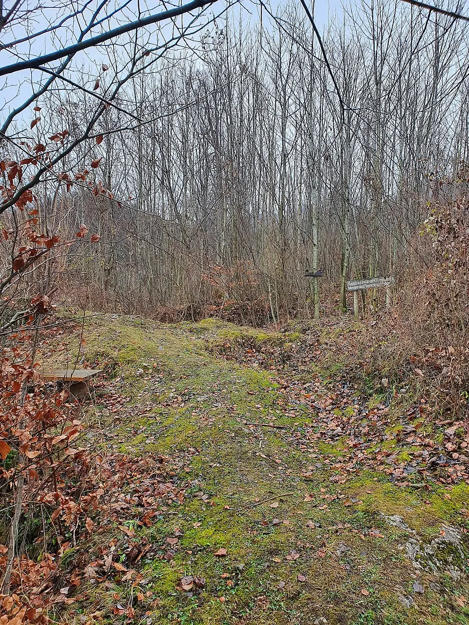 Kép: Andreas Binder · CC BY 4.0 Burgstall Hohenstein (Staudach-Egerndach)