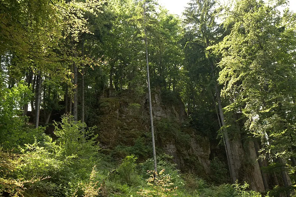 Bild: Sven-121 · CC0 Burgstall Thürsnacht