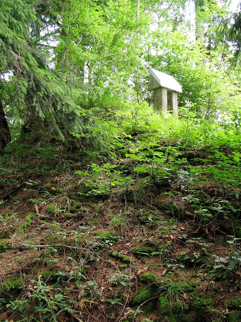 Immagine: Gras-Ober · CC BY-SA 3.0 Burg Finkelsburg