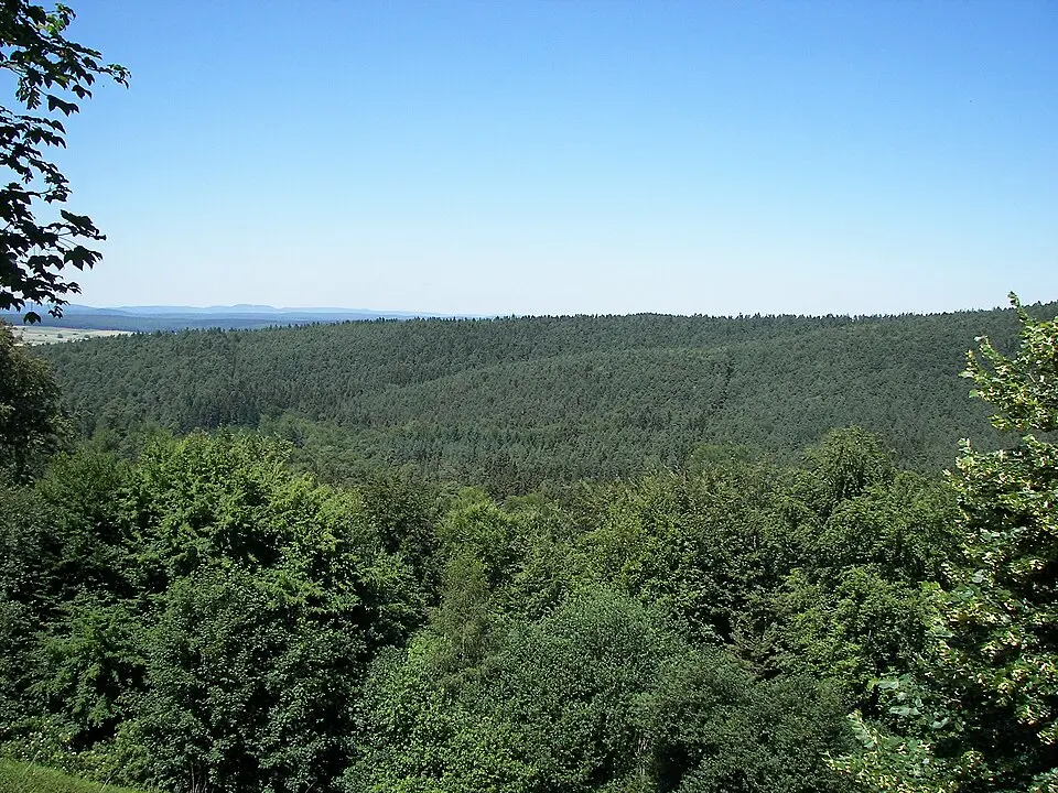 Burgwald