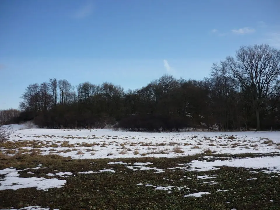 Burgwall Neu Nieköhr