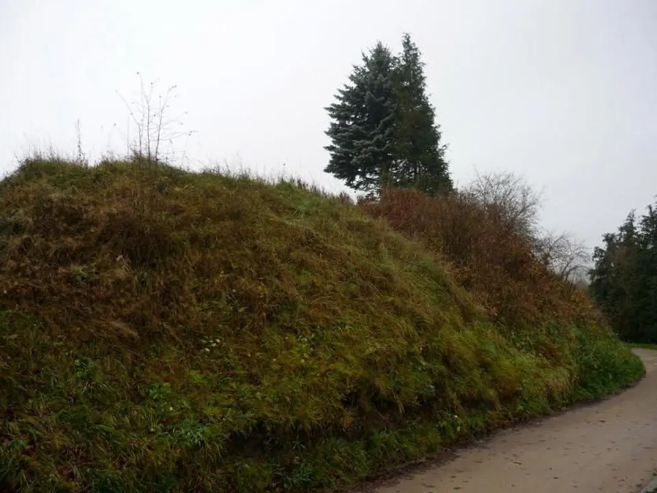 Bild: RonnyKrüger · CC0 Burgwall Tessin
