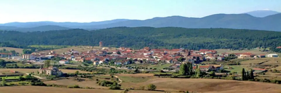 Abejar
