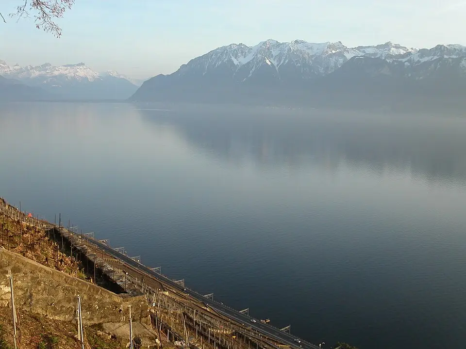 Immagine: Marc Mongenet · CC BY 2.5 canton Vaud