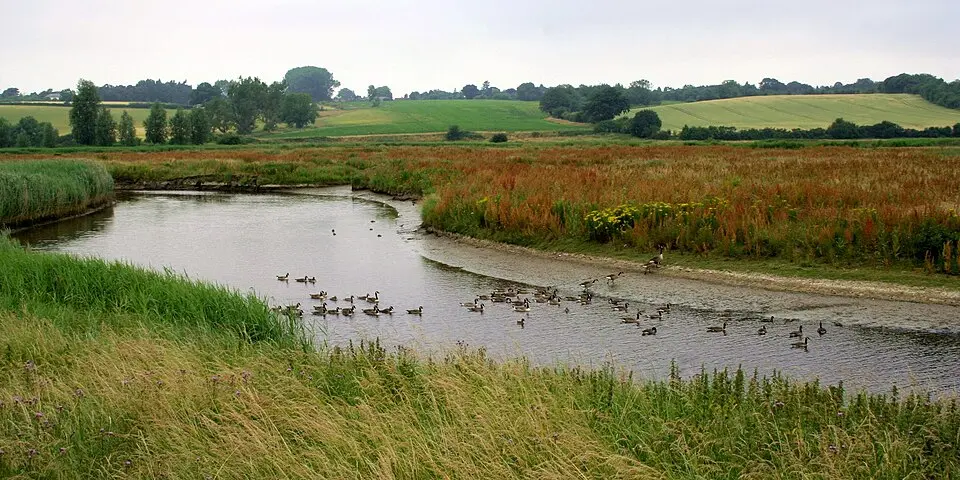 Suffolk